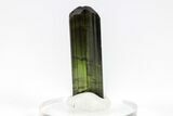Terminated Green Tourmalines w/ Parallel Growth - Brazil #209798-1